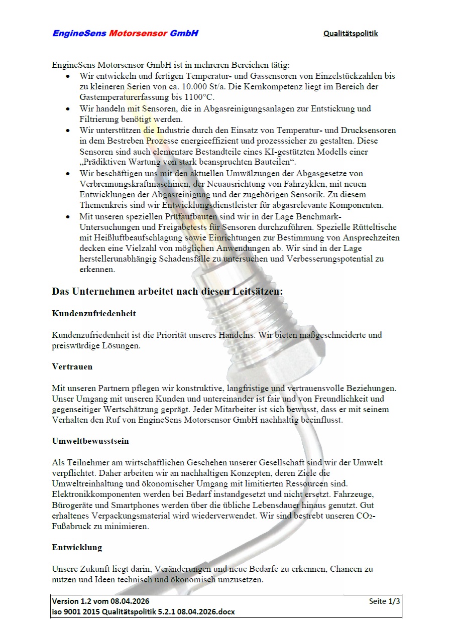 QS Politik EngineSens klein